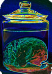 brain in a jar